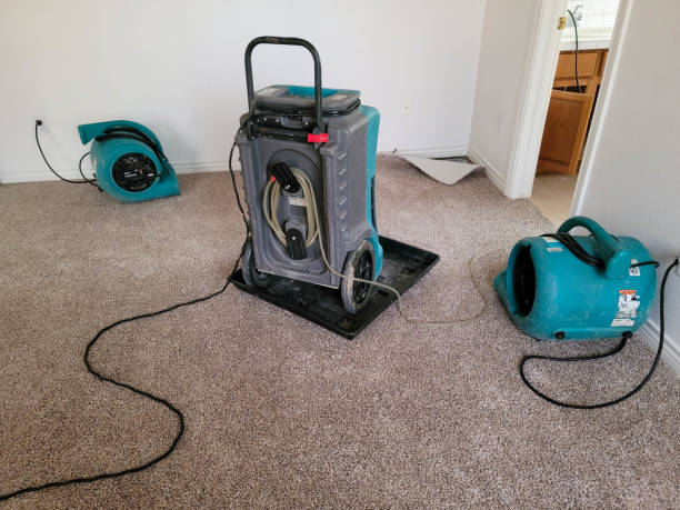 Best Professional water damage repair  in Linln Park, CO