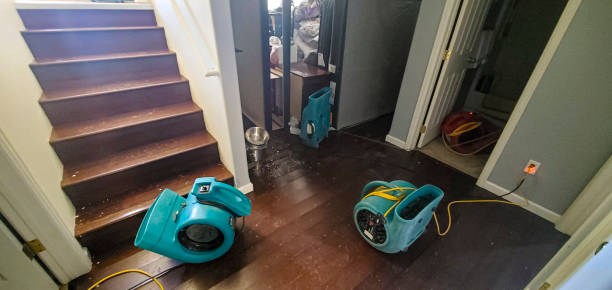 Best Carpet water damage restoration  in Linln Park, CO