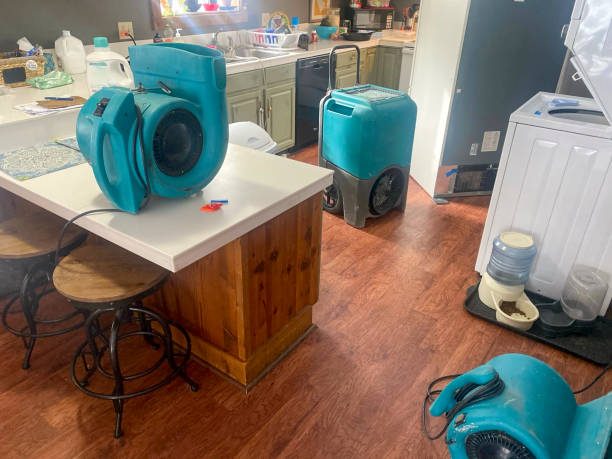 Best Water damage contractors near me  in Linln Park, CO