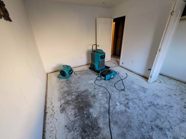 Best Water damage restoration near me  in Linln Park, CO