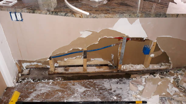 Best Flood damage cleanup  in Linln Park, CO