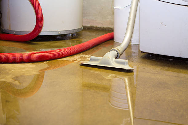 Best Flooded house restoration  in Linln Park, CO