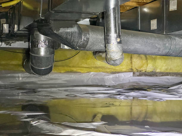 Best 24/7 water damage repair  in Linln Park, CO