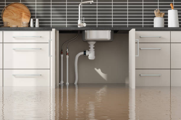 Best Water damage restoration specialists  in Linln Park, CO